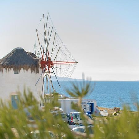 Megali Ammos Whitelist Loft In Mykonos Town公寓 外观 照片