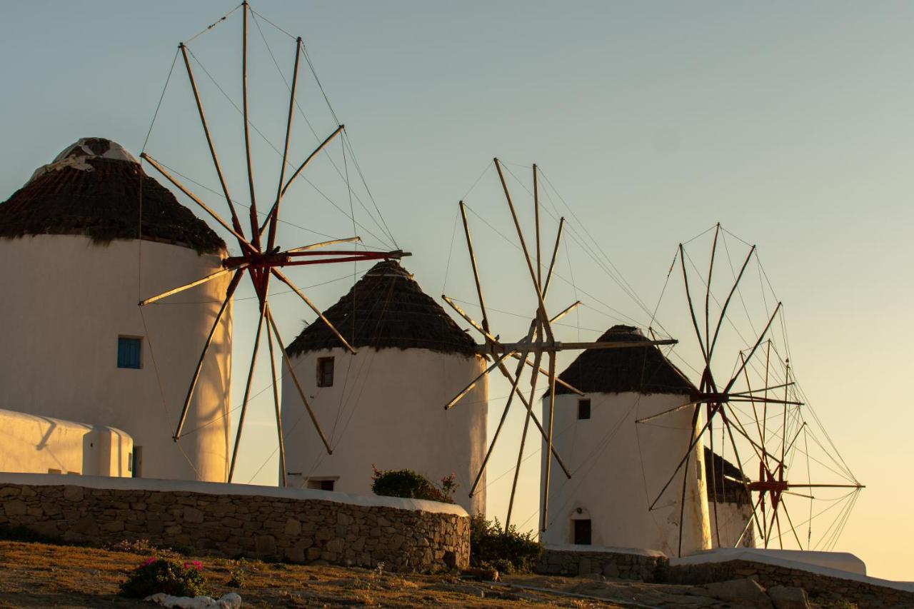 Megali Ammos Whitelist Loft In Mykonos Town公寓 外观 照片